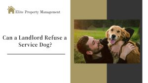 Can a Landlord Refuse a Service Dog?